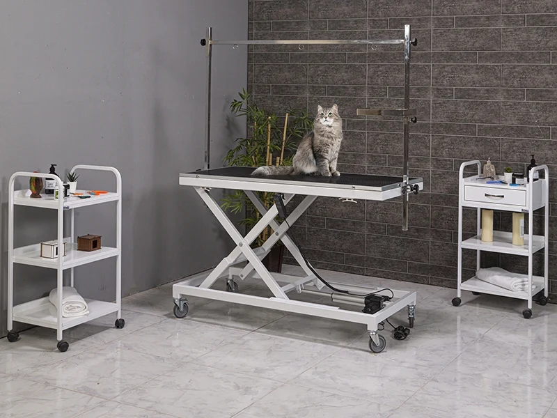 Veteriner Pet Bakım ve Muayene Masası - Large | TrioCare-6012