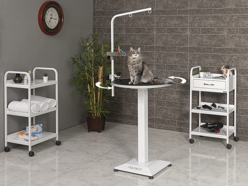 Veterinary Grooming and Examination Table | TrioCare-6002
