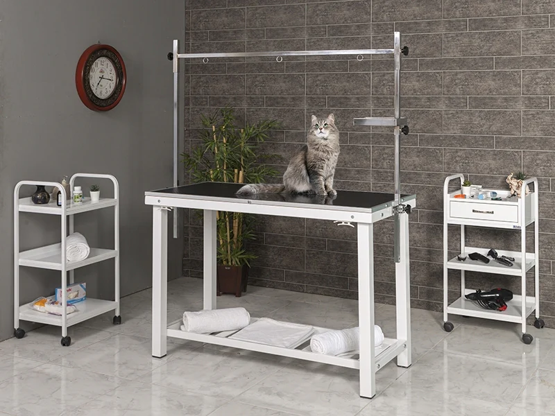 Veteriner Pet Bakım ve Muayene Masası | TrioCare-6005