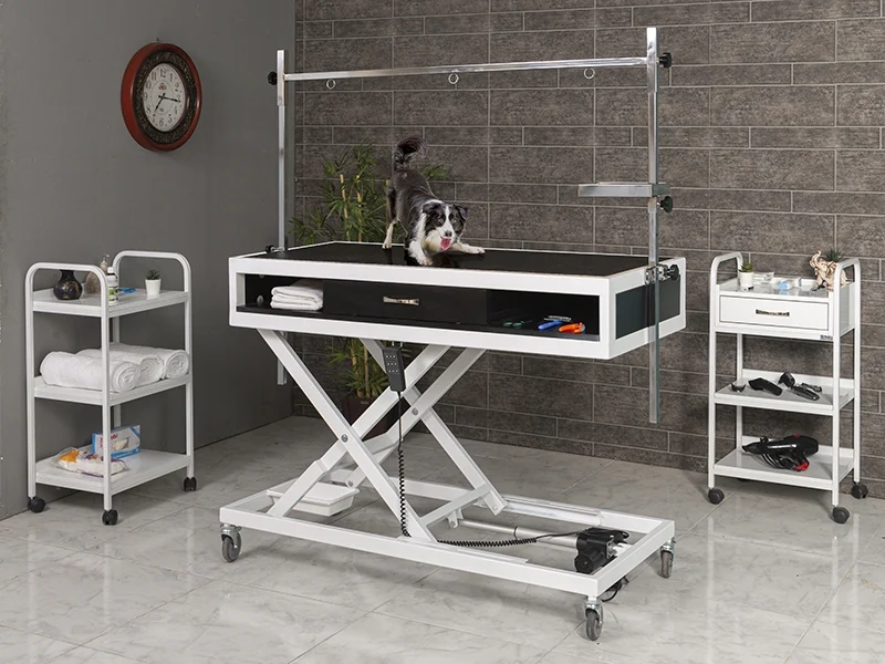 Veterinary Grooming and Examination Table | TrioCare-6010